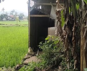 2 Unit Motor Raib Dibawa Kabur Kawanan Maling