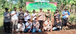 Kapolsek Bojongpicung Beserta Forkopimcan Haurwangi Melaksanakan Penanaman Jagung Serentak Kuartal III, di Lahan Perhutanan Sosial