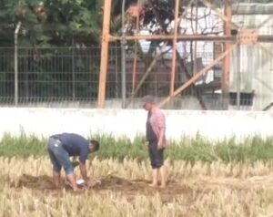 Seorang Pria Nekat Akhiri Hidupnya Loncat Dari Tower Seluler Setinggi 70 Meter