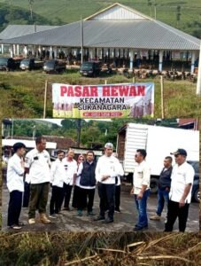 Pembukaan Launcing Pasar Hewan di Pasar Sukanegara Telah Dibuka