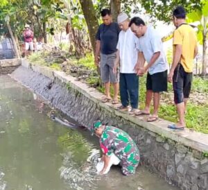 Dikira Boneka Ternyata Bayi Baru Lahir Ditemukan Mengambang di Saluran Irigasi