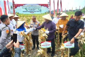 Kepedulian Polda Jabar Kepada Petani Jagung Untuk Meningkatkan Kesejahteraan