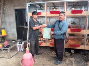 BUMDes Bobojong Gelontorkan 3.000 Bibit Ayam, Dukung Ketahanan Pangan Desa